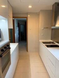 Park Infinia At Wee Nam (D11), Condominium #564062001